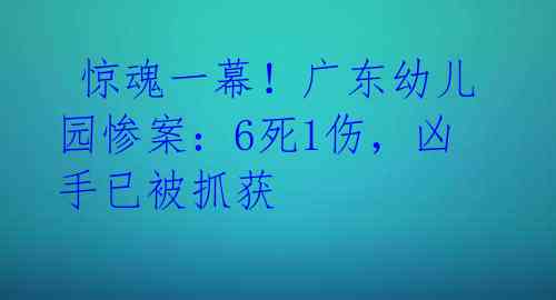  惊魂一幕！广东幼儿园惨案：6死1伤，凶手已被抓获