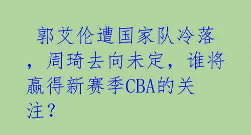  郭艾伦遭国家队冷落，周琦去向未定，谁将赢得新赛季CBA的关注？