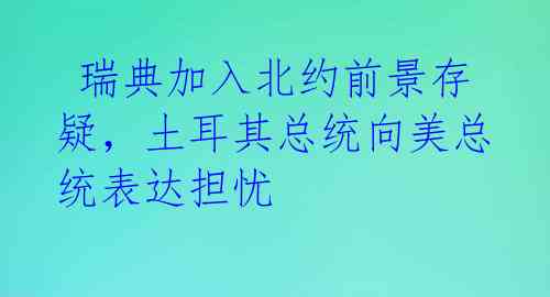  瑞典加入北约前景存疑，土耳其总统向美总统表达担忧