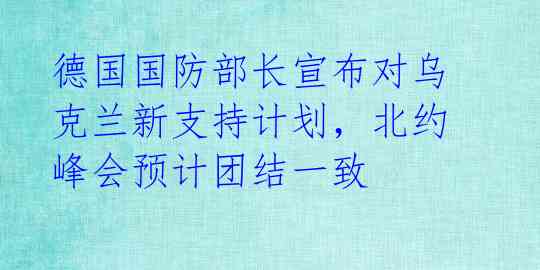 德国国防部长宣布对乌克兰新支持计划，北约峰会预计团结一致 