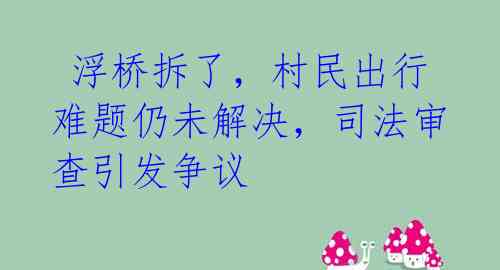  浮桥拆了，村民出行难题仍未解决，司法审查引发争议