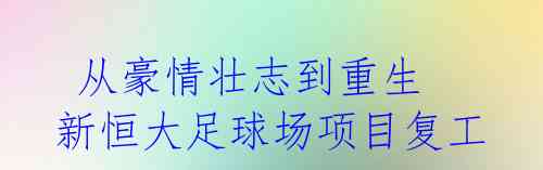  从豪情壮志到重生 新恒大足球场项目复工