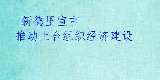  新德里宣言 推动上合组织经济建设