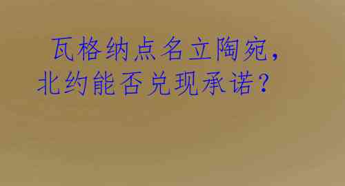  瓦格纳点名立陶宛，北约能否兑现承诺？