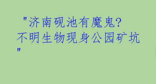  "济南砚池有魔鬼?不明生物现身公园矿坑" 