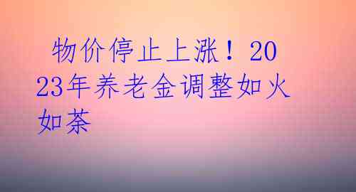  物价停止上涨！2023年养老金调整如火如荼