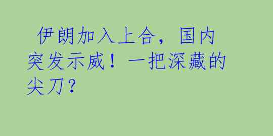  伊朗加入上合，国内突发示威！一把深藏的尖刀？