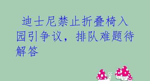  迪士尼禁止折叠椅入园引争议，排队难题待解答 