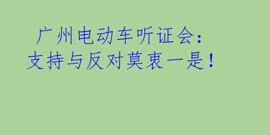  广州电动车听证会：支持与反对莫衷一是！ 