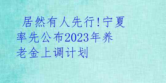  居然有人先行!宁夏率先公布2023年养老金上调计划 