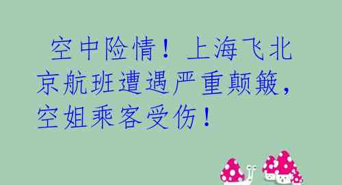  空中险情！上海飞北京航班遭遇严重颠簸，空姐乘客受伤！