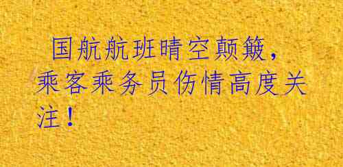  国航航班晴空颠簸，乘客乘务员伤情高度关注！