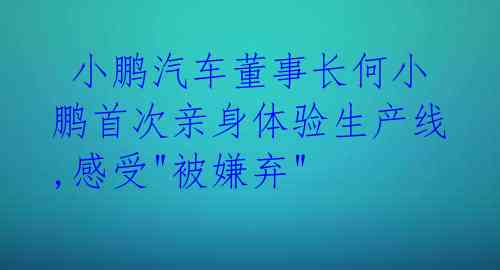  小鹏汽车董事长何小鹏首次亲身体验生产线,感受"被嫌弃"