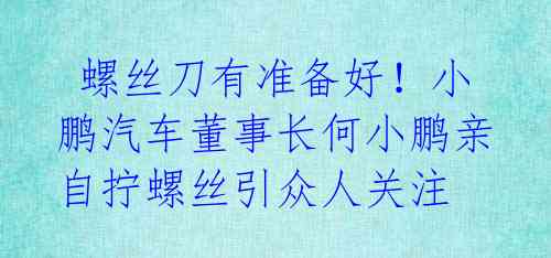  螺丝刀有准备好！小鹏汽车董事长何小鹏亲自拧螺丝引众人关注