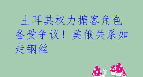  土耳其权力掮客角色备受争议！美俄关系如走钢丝 