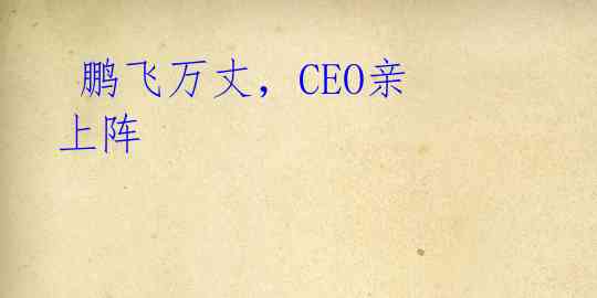  鹏飞万丈，CEO亲上阵