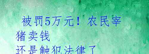  被罚5万元！农民宰猪卖钱 还是触犯法律了