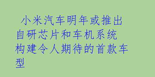  小米汽车明年或推出自研芯片和车机系统 构建令人期待的首款车型