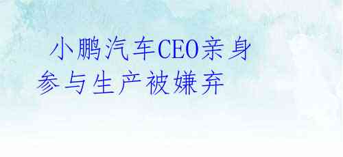  小鹏汽车CEO亲身参与生产被嫌弃 