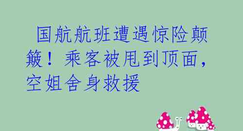  国航航班遭遇惊险颠簸！乘客被甩到顶面，空姐舍身救援