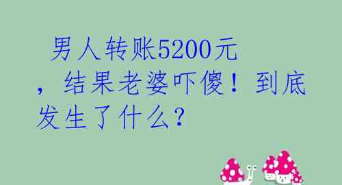  男人转账5200元，结果老婆吓傻！到底发生了什么？