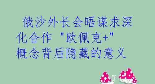  俄沙外长会晤谋求深化合作 "欧佩克+"概念背后隐藏的意义