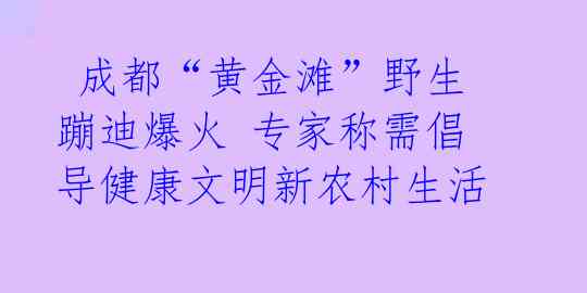  成都“黄金滩”野生蹦迪爆火 专家称需倡导健康文明新农村生活