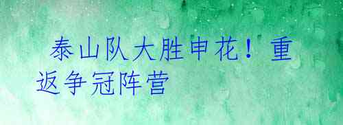 泰山队大胜申花!重返争冠阵营