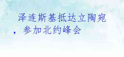 泽连斯基抵达立陶宛,参加北约峰会