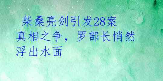 柴桑亮剑引发28案真相之争,罗部长悄然浮出水面