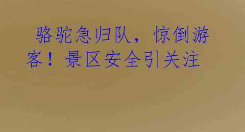  骆驼急归队，惊倒游客！景区安全引关注 