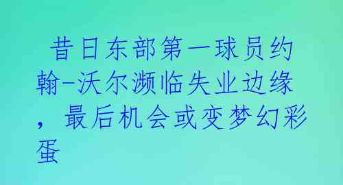  昔日东部第一球员约翰-沃尔濒临失业边缘，最后机会或变梦幻彩蛋