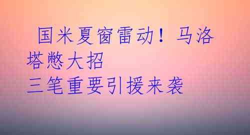  国米夏窗雷动！马洛塔憋大招 三笔重要引援来袭 