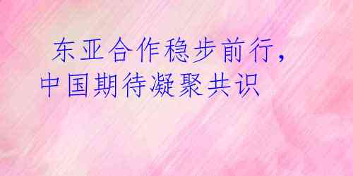  东亚合作稳步前行，中国期待凝聚共识