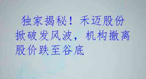  独家揭秘！禾迈股份掀破发风波，机构撤离股价跌至谷底