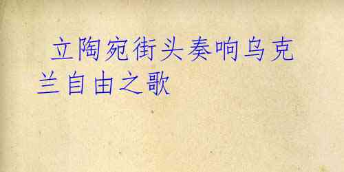 立陶宛街头奏响乌克兰自由之歌