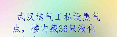  武汉送气工私设黑气点，楼内藏36只液化气钢瓶？