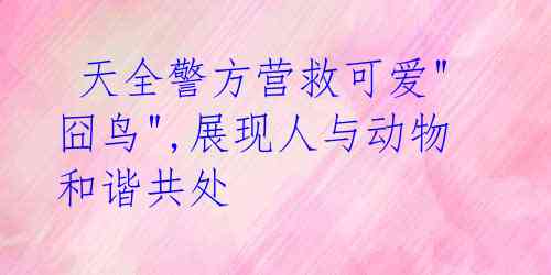 天全警方营救可爱"囧鸟",展现人与动物和谐共处