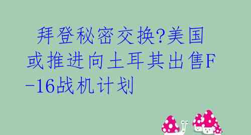  拜登秘密交换?美国或推进向土耳其出售F-16战机计划 