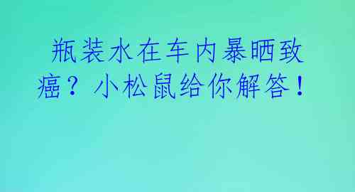  瓶装水在车内暴晒致癌？小松鼠给你解答！