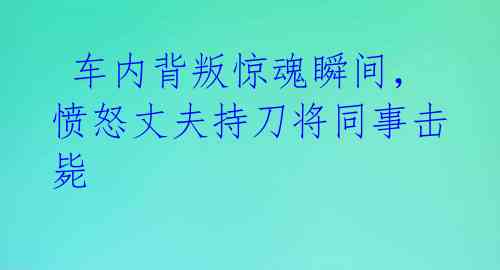  车内背叛惊魂瞬间，愤怒丈夫持刀将同事击毙