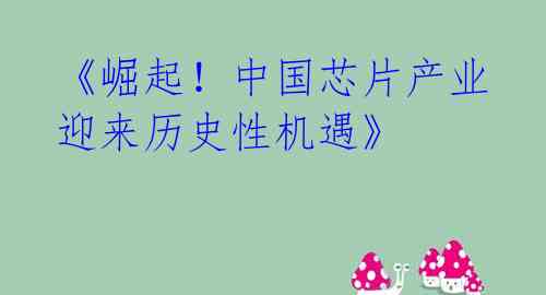 《崛起！中国芯片产业迎来历史性机遇》