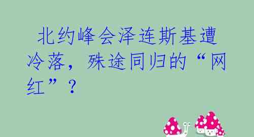  北约峰会泽连斯基遭冷落，殊途同归的“网红”？