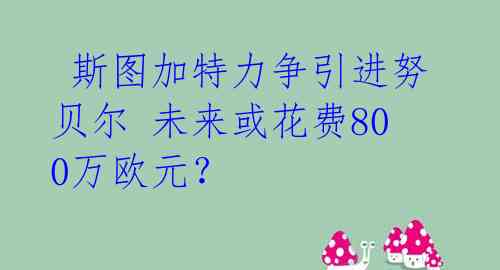  斯图加特力争引进努贝尔 未来或花费800万欧元？