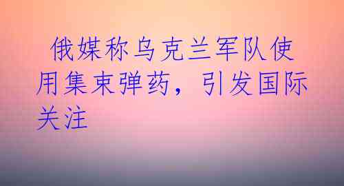  俄媒称乌克兰军队使用集束弹药，引发国际关注 