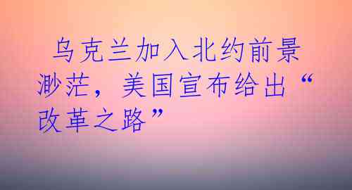 乌克兰加入北约前景渺茫,美国宣布给出“改革之路”