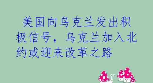美国向乌克兰发出积极信号,乌克兰加入北约或迎来改革之路