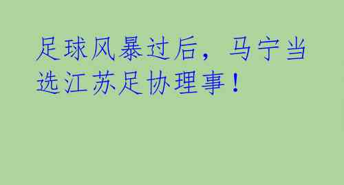 足球风暴过后，马宁当选江苏足协理事！