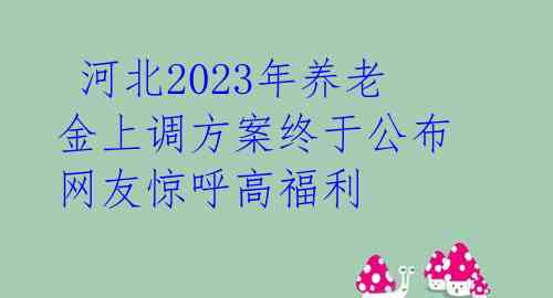 河北2023年养老金上调方案终于公布 网友惊呼高福利