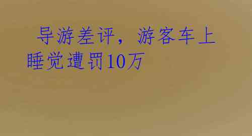  导游差评，游客车上睡觉遭罚10万  